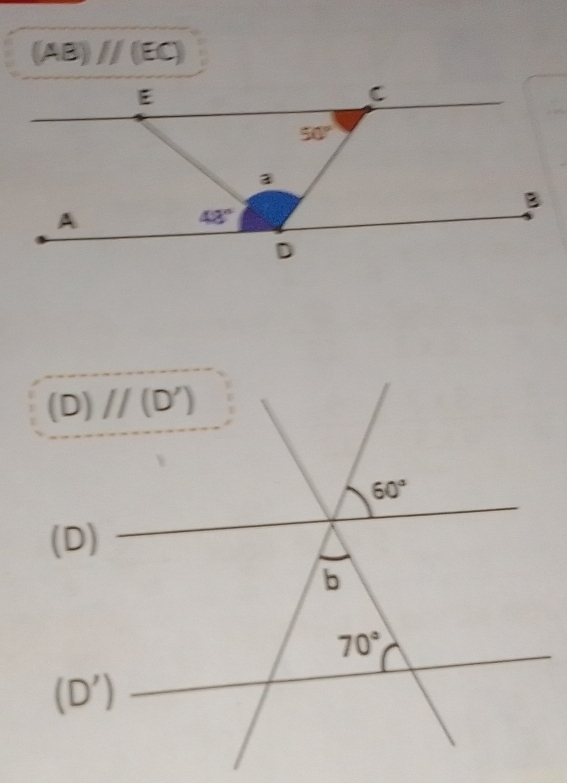 (AB) // (EC)
(D)
(D)