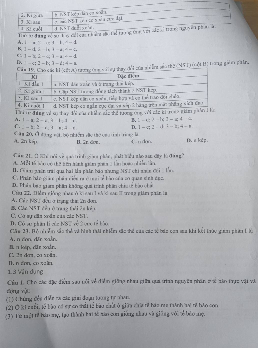 A. 1 - a; 2 - c; 3 - b; 4 - d.
B. 1 - d; 2 - b; 3 - a; 4 - c.
C. 1 - b; 2 - c; 3 - a; 4 - d.
D. 1 - c; 2 - b; 3 - d;4 - a.
ủa nhiễm sắc thể (NST) (cột B) trong giảm phân.
Thứ tự đúng về sự thay đổi của nhiễm sắc thể tương ứng với các kì tro
A. 1 - a; 2 - c; 3 - b; 4 - d. B. 1 - d; 2 - b; 3 - a;4 - c.
C. 1 - b; 2 - c; 3 - a; 4 - d. D. 1 - c; 2 - d; 3 - b; 4 - a.
Câu 20. Ở động vật, bộ nhiễm sắc thể của tinh trùng là
A. 2n kép. B. 2n đơn. C. n đơn. D. n kép.
Câu 21. Ở Khi nói về quá trình giảm phân, phát biểu nào sau đây là đúng?
A. Mỗi tế bào có thể tiến hành giảm phân 1 lần hoặc nhiều lần.
B. Giảm phân trải qua hai lần phân bào nhưng NST chỉ nhân đôi 1 lần.
C. Phân bào giảm phân diễn ra ở mọi tế bào của cơ quan sinh dục.
D. Phân bào giảm phân không quá trình phân chia tế bào chất
Câu 22. Điểm giống nhau ở kì sau I và kì sau II trong giảm phân là
A. Các NST đều ở trạng thái 2n đơn.
B. Các NST đều ở trạng thái 2n kép.
C. Có sự dãn xoắn của các NST.
D. Có sự phân li các NST về 2 cực tế bào.
Câu 23. Bộ nhiễm sắc thể và hình thái nhiễm sắc thể của các tế bào con sau khi kết thúc giảm phân I là
A. n đơn, dãn xoắn.
B. n kép, dãn xoắn.
C. 2n đơn, co xoắn.
D. n đơn, co xoắn.
1.3 Vận dụng
Câu 1. Cho các đặc điểm sau nói về điểm giống nhau giữa quá trình nguyên phân ở tế bào thực vật và
động vật:
(1) Chúng đều diễn ra các giai đoạn tương tự nhau.
(2) Ở kì cuối, tế bào có sự co thắt tế bào chất ở giữa chia tế bào mẹ thành hai tế bào con.
(3) Từ một tế bào mẹ, tạo thành hai tế bào con giống nhau và giống với tế bào mẹ.