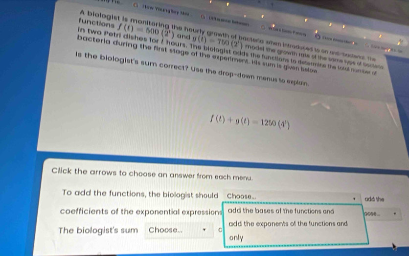 '
How YoungBey Hov Uifte ace betwan W o Sn Paey
.
A biologist is monitoring the hourly growth of bacteria when introduced to an andi-bactenal The
a 
functions in two Petri dishes fort hours. The biologist adds the functions to determine the total number o°
f(t)=500(2^t) and g(t)=750(2^t) model the growth rate of the some typs of toctere 
bacteria during the first stage of the experiment. His sum is given below
Is the biologist's sum correct? Use the drop-down menus to explain.
f(t)+g(t)=1250(4^t)
Click the arrows to choose an answer from each menu.
To add the functions, the biologist should Choose... add the
coefficients of the exponential expressions add the bases of the functions and oose...
add the exponents of the functions and
The biologist's sum Choose... C
only