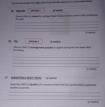 Choose and answer only ONE option from the two options (1 or 2) provided below. 
26. POULTRY OPTION 1 (3 marks) 
_ 
life span. Discuss ONE (1) reason for culling of layer birds at certain point in their production 
_ 
_ 
_ 
(3 marks) 
26. PIG OPTION 2 (3 marks) 
farrowing Discuss ONE (1) management practice in piglets during the first week after 
_ 
_ 
_ 
_ 
(3 marks) 
27. SUBSISTENCE ROOT CROPS (2 marks) 
Describe ONE (1) quality of a cassava variety that you would select to grow for 
market purposes. 
_ 
_ 
_ 
(2 marks)