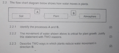 Solved: 2.2 The flow chart diagram below shows how water moves in ...