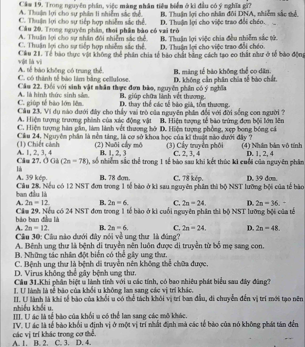 Trong nguyên phân, việc màng nhân tiêu biến ở kì đầu có ý nghĩa gì?
A. Thuận lợi cho sự phân li nhiễm sắc thể. B. Thuận lợi cho nhân đôi DNA, nhiễm sắc thể.
C. Thuận lợi cho sự tiếp hợp nhiễm sắc thể. D. Thuận lợi cho việc trao đổi chéo.
Câu 20. Trong nguyên phân, thoi phân bào có vai trò
A. Thuận lợi cho sự nhân đôi nhiễm sắc thể. B. Thuận lợi việc chia đều nhiễm sắc tử.
C. Thuận lợi cho sự tiếp hợp nhiễm sắc thể. D. Thuận lợi cho việc trao đổi chéo.
Câu 21. Tế bảo thực vật không thể phân chia tế bảo chất bằng cách tạo eo thắt như ở tế bào động
vật là vì
A. tế bảo không có trung thể. B. màng tế bào không thể co dãn.
C. có thành tế bào làm bằng cellulose. D. không cần phân chia tế bào chất.
Câu 22. Đối với sinh vật nhân thực đơn bào, nguyên phân có ý nghĩa
A. là hình thức sinh sản. B. giúp chữa lành vết thương.
C. giúp tế bào lớn lên. D. thay thế các tế bào già, tổn thương.
Câu 23. Ví dụ nào dưới đây cho thấy vai trò của nguyên phân đối với đời sống con người ?
A. Hiện tượng trương phình của xác động vật B. Hiện tượng tế bào trứng đơn bội lớn lên
C. Hiện tượng hàn gắn, làm lành vết thương hở D. Hiện tượng phồng, xẹp bong bóng cá
Câu 24. Nguyên phân là nền tảng, là cơ sở khoa học của kĩ thuật nào dưới đây ?
(1) Chiết cảnh (2) Nuôi cấy mô (3) Cấy truyền phối (4) Nhân bản vô tính
A. 1, 2, 3, 4 B. 1, 2, 3 C. 2, 3, 4 D. 1, 2, 4
Câu 27. Ở Gà (2n=78) , số nhiễm sắc thể trong 1 tế bào sau khi kết thúc kì cuối của nguyên phân
là
A. 39 kép. B. 78 đơn. C. 78 kép. D. 39 đơn.
Cầu 28. Nếu có 12 NST đơn trong 1 tế bào ở kì sau nguyên phân thì bộ NST lưỡng bội của tế bào
ban đầu là
A. 2n=12. B. 2n=6. C. 2n=24. D. 2n=36. +
Câu 29. Nếu có 24 NST đơn trong 1 tế bào ở kì cuối nguyên phân thì bộ NST lưỡng bội của tế
bào ban đầu là
A. 2n=12. B. 2n=6. C. 2n=24. D. 2n=48.
Câu 30: Câu nào dưới đây nói về ung thư là đúng?
A. Bênh ung thư là bệnh di truyền nên luôn được di truyền từ bố mẹ sang con.
B. Những tác nhân đột biến có thể gây ung thư.
C. Bệnh ung thư là bệnh di truyền nên không thể chữa được.
D. Virus không thể gây bệnh ung thư.
Câu 31.Khi phân biệt u lành tính với u các tính, có bao nhiêu phát biểu sau đây đúng?
I. U lành là tế bào của khối u không lan sang các vị trí khác.
II. U lành là khi tế bào của khối u có thể tách khỏi vị trí ban đầu, di chuyển đến vị trí mới tạo nên
nhiếu khối u.
III. U ác là tế bào của khối u có thể lan sang các mô khác.
IV. U ác là tế bào khối u định vị ở một vị trí nhất định mà các tế bào của nó không phát tán đến
các vị trí khác trong cơ thể.
A. 1. B. 2. C. 3. D. 4.