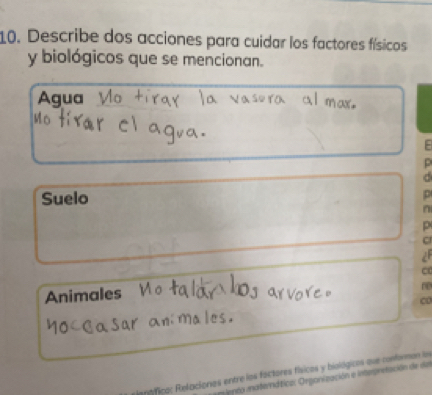 Describe dos acciones para cuidar los factores físicos 
y biológicos que se mencionan. 
Agua 
p 
d 
Suelo 
p 
n 
p 
C 
2F 
Animales 
ráfico: Retaciones entre los fáctores físicos y biológicos que conformon los 
enca iaternática: Orpanización e intepretación de da