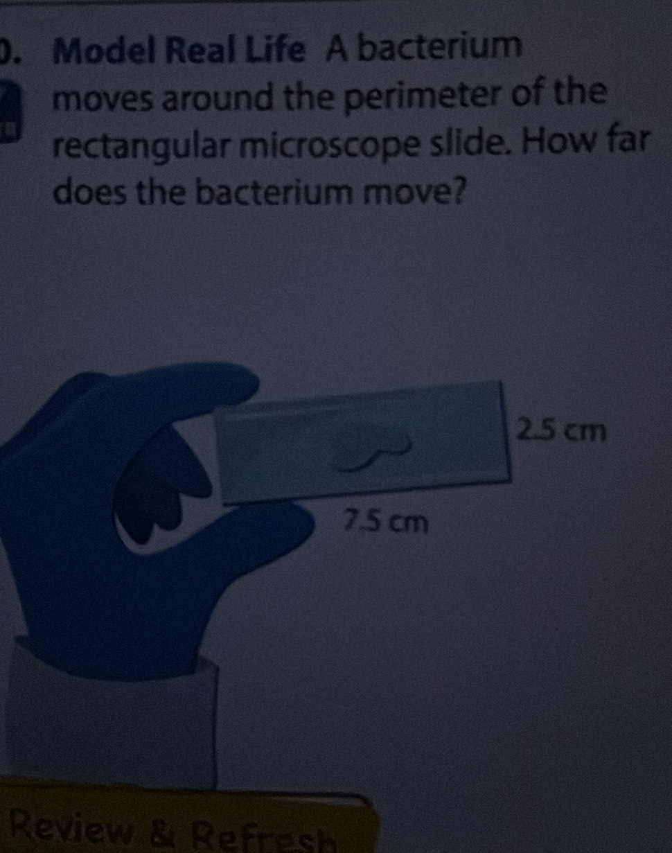 Model Real Life A bacterium 
moves around the perimeter of the 
rectangular microscope slide. How far 
does the bacterium move?
2.5 cm
7.5 cm
Review & Refresh