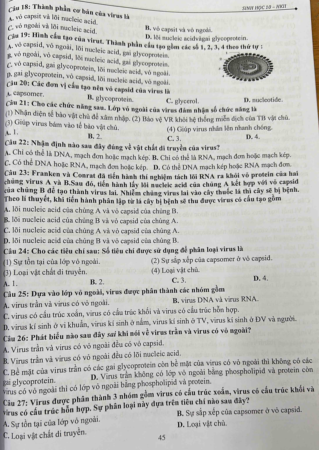 SINH HỌC 10 - HKII
Câu 18: Thành phần cơ bản của virus là
A. vỏ capsit và lõi nucleic acid.
C. vỏ ngoài và lõi nucleic acid. B. vỏ capsit và vỏ ngoài.
D. lõi nucleic acidvàgai glycoprotein.
Câu 19: Hình cấu tạo của virut. Thành phần cấu tạo gồm các số 1, 2, 3, 4 theo thứ tự :
A. vỏ capsid, vỏ ngoài, lõi nucleic acid, gai glycoprotein.
B. vỏ ngoài, vỏ capsid, lõi nucleic acid, gai glycoprotein.
C. vỏ capsid, gai glycoprotein, lõi nucleic acid, vỏ ngoài.
p. gai glycoprotein, vỏ capsid, lõi nucleic acid, vỏ ngoài.
Câu 20: Các đơn vị cấu tạo nên võ capsid của virus là
A. capsomer. B. glycoprotein.
C. glycerol. D. nucleotide.
Câu 21: Cho các chức năng sau. Lớp vỏ ngoài của virus đảm nhận số chức năng là
(1) Nhận diện tế bào vật chủ để xâm nhập. (2) Bảo vệ VR khỏi hệ thống miễn dịch của TB vật chủ.
(3) Giúp virus bám vào tế bào vật chủ.
A. 1. (4) Giúp virus nhân lên nhanh chóng.
B. 2. C. 3. D. 4.
Câu 22: Nhận định nào sau đây đúng về vật chất di truyền của virus?
A. Chỉ có thể là DNA, mạch đơn hoặc mạch kép. B. Chỉ có thể là RNA, mạch đơn hoặc mạch kép.
C. Có thể DNA hoặc RNA, mạch đơn hoặc kép. D. Có thể DNA mạch kép hoặc RNA mạch đơn.
Câu 23: Franken và Conrat đã tiến hành thí nghiệm tách lõi RNA ra khỏi vỏ protein của hai
chủng virus A và B.Sau đó, tiến hành lấy lõi nucleic acid của chủng A kết hợp với vỏ capsid
của chủng B để tạo thành virus lai. Nhiễm chủng virus lai vào cây thuốc lá thì cây sẽ bị bệnh.
Theo lí thuyết, khi tiến hành phân lập từ lá cây bị bệnh sẽ thu được virus có cấu tạo gồm
A. lõi nucleic acid của chủng A và vỏ capsid của chủng B.
B. lõi nucleic acid của chủng B và vỏ capsid của chủng A.
C. lõi nucleic acid của chủng A và vỏ capsid của chủng A.
D. lõi nucleic acid của chủng B và vỏ capsid của chủng B.
Câu 24: Cho các tiêu chí sau: Số tiêu chí được sử dụng để phân loại virus là
(1) Sự tồn tại của lớp vỏ ngoài. (2) Sự sắp xếp của capsomer ở vỏ capsid.
(3) Loại vật chất di truyền. (4) Loại vật chủ.
A. 1. B. 2. C. 3. D. 4.
Câu 25: Dựa vào lớp vỏ ngoài, virus được phân thành các nhóm gồm
A. virus trần và virus có vỏ ngoài. B. virus DNA và virus RNA.
C. virus có cấu trúc xoắn, virus có cấu trúc khối và virus có cấu trúc hỗn hợp.
D. virus kí sinh ở vi khuẩn, virus kí sinh ở nấm, virus kí sinh ở TV, virus kí sinh ở ĐV và người.
Câu 26: Phát biểu nào sau đây sai khi nói về virus trần và virus có vỏ ngoài?
A. Virus trần và virus có vỏ ngoài đều có vỏ capsid.
B. Virus trần và virus có vỏ ngoài đều có lõi nucleic acid.
C. Bề mặt của virus trần có các gai glycoprotein còn bề mặt của virus có vỏ ngoài thì không có các
D. Virus trần không có lớp vỏ ngoài bằng phospholipid và protein còn
gai glycoprotein.
virus có vỏ ngoài thì có lớp vỏ ngoài bằng phospholipid và protein.
Câu 27: Virus được phân thành 3 nhóm gồm virus có cấu trúc xoắn, virus có cấu trúc khối và
virus có cấu trúc hỗn hợp. Sự phân loại này dựa trên tiêu chí nào sau đây?
B. Sự sắp xếp của capsomer ở vỏ capsid.
A. Sự tồn tại của lớp vỏ ngoài.
D. Loại vật chủ.
C. Loại vật chất di truyền.
45