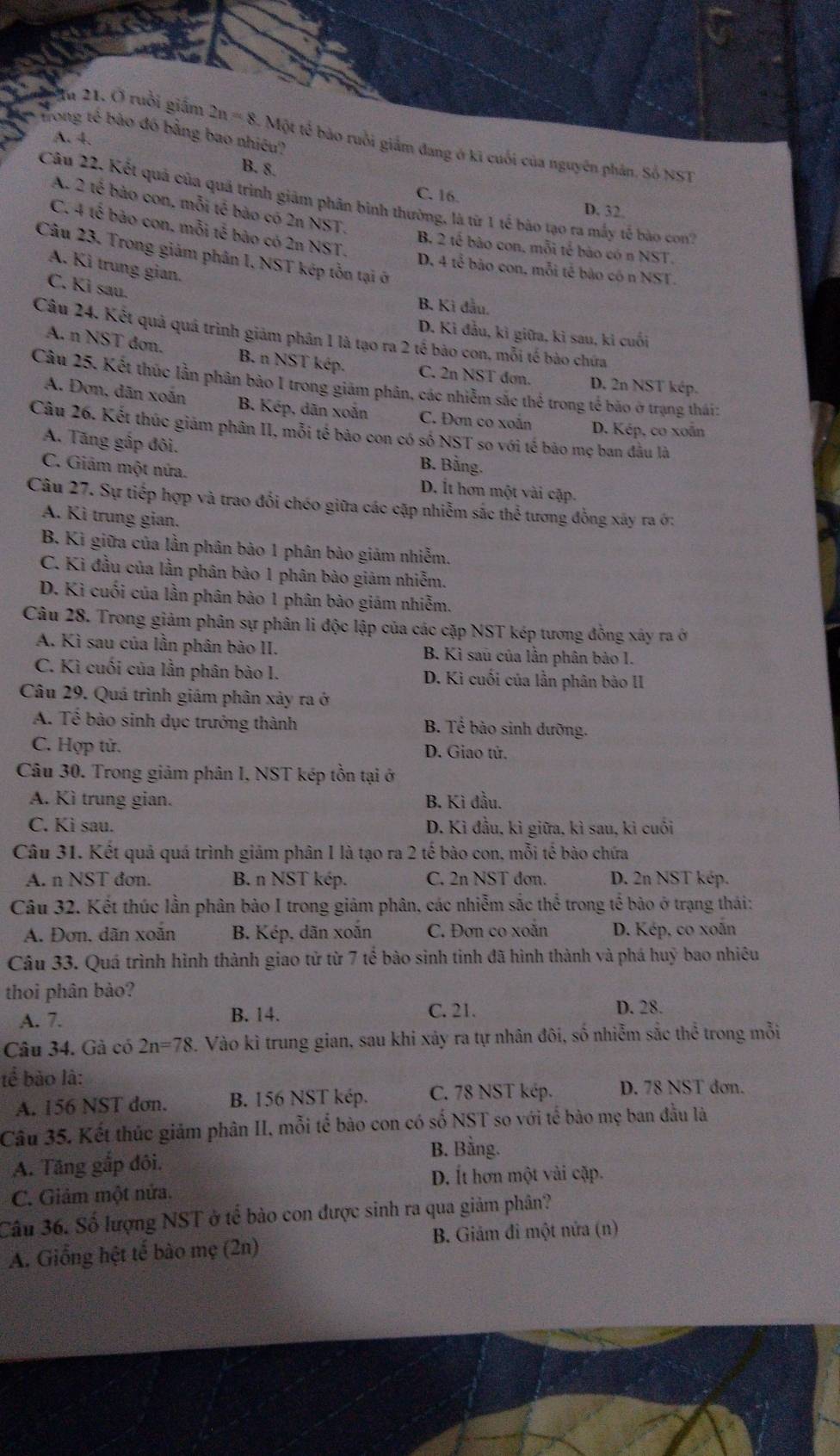 trong tế bảo đó bằng bao nhiêu)
2u 21. Ở ruồi giám 2n=8 Một tế bảo ruồi giảm đang ở kĩ cuối của nguyên phân. Số NST
A. 4.
B. 8. C. 16.
Câu 22. Kết quả của quả trình giám phân bình thường, là từ 1 tế bào tạo ra mấy tế bào con
A. 2 tế bào con, mỗi tế bào có 2n NST.
D. 32
C. 4 tế bảo con, mỗi tế bào có 2n NST.
B. 2 tế bào con, mỗi tế bào có n NST.
Câu 23. Trong giảm phân I, NST kép tỗn tại ở
A. Kì trung gian.
D. 4 tễ bào con, mỗi tế bào có n NST.
C. Ki sau.
B. Ki đầu.
D. Kỉ đầu, kì giữa, kì sau, ki cuối
Câu 24. Kết quả quá trình giảm phân 1 là tạo ra 2 tế bảo con, mỗi tế bào chứa
A. n NST don. B. n NST kép. C. 2n NST đơn. D. 2n NST kép.
Câu 25. Kết thúc lần phân bảo 1 trong giám phân, các nhiễm sắc thể trong tế bão ở trạng thái:
A. Đơn, dān xoãn B. Kép, dãn xoắn C. Đơn co xoắn D. Kép, co xoãn
Câu 26. Kết thúc giám phân II, mỗi tế bảo con có số NST so với tế bão mẹ ban đầu là
A. Tăng gắp đôi. B. Bằng.
C. Giám một nửa. D. Ít hơn một vài cặp.
Câu 27. Sự tiếp hợp và trao đổi chéo giữa các cặp nhiễm sắc thể tương đồng xây ra ớ:
A. Kì trung gian.
B. Kì giữa của lần phân bảo 1 phân bào giảm nhiễm.
C. Kì đầu của lằn phân bào 1 phân bào giảm nhiễm.
D. Kì cuối của lần phân bào 1 phân bào giám nhiễm.
Câu 28. Trong giảm phân sự phân li độc lập của các cặp NST kép tương đồng xây ra ở
A. Kì sau của lần phân bào II. B. Kì sau của lần phân bảo 1.
C. Kì cuối của lần phân bào I. D. Kì cuối của lần phân bảo II
Câu 29. Quá trình giám phân xảy ra ở
A. Tể bào sinh dục trưởng thành B. Tế bảo sinh dưỡng.
C. Hợp tử.  D. Giao tử.
Câu 30. Trong giảm phân I, NST kép tồn tại ở
A. Kì trung gian. B. Kì đầu.
C. Ki sau. D. Kì đầu, kì giữa, kì sau, kì cuối
Câu 31. Kết quả quá trình giảm phân 1 là tạo ra 2 tế bào con, mỗi tế bào chứa
A. n NST đơn. B. n NST kép. C. 2n NST đơn. D. 2n NST kép.
Câu 32. Kết thúc lần phân bảo I trong giảm phân, các nhiễm sắc thể trong tế bào ở trạng thái:
A. Đơn, dãn xoãn B. Kép, dãn xoắn C. Đơn co xoãn D. Kép, co xoắn
Câu 33. Quá trình hình thành giao tử từ 7 tế bào sinh tinh đã hình thành và phá huỹ bao nhiêu
thoi phân bảo? D. 28.
A. 7. B. 14.
C. 21.
Câu 34. Gả có 2n=78 3. Vào kì trung gian, sau khi xảy ra tự nhân đôi, số nhiễm sắc thoverline overline overline overline c trong mỗi
tể bào là:
A. 156 NST dơn. B. 156 NST kép. C. 78 NST kép. D. 78 NST dơn.
Câu 35. Kết thúc giảm phân II, mỗi tế bào con có số NST so với tế bào mẹ ban đầu là
B. Bằng.
A. Tăng gắp đôi.
D. Ít hơn một vài cặp.
C. Giảm một nửa.
Câu 36. Số lượng NST ở tế bào con được sinh ra qua giảm phân?
A. Giống hệt tế bào mẹ (2n)  B. Giảm đi một nửa (n)