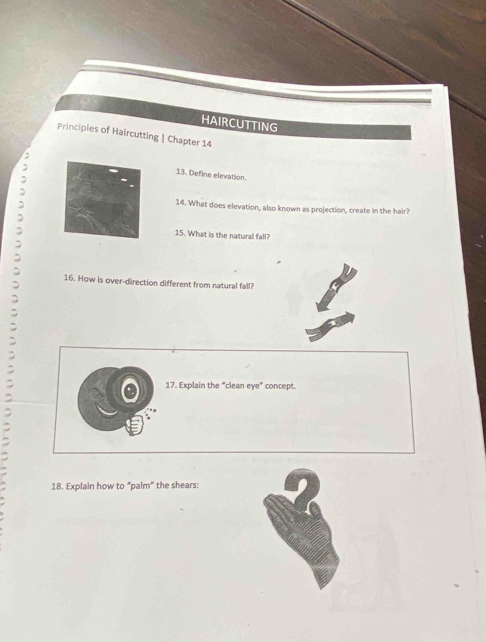 HAIRCUTTING 
Principles of Haircutting | Chapter 14 
13. Define elevation. 
14. What does elevation, also known as projection, create in the hair? 
15. What is the natural fall? 
16. How is over-direction different from natural fall? 
17. Explain the “clean eye” concept. 
18. Explain how to “palm” the shears: