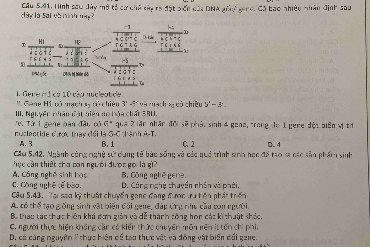 Hình sau đây mô tả cơ chế xảy ra đột biến của DNA gốc/ gene. Có bao nhiêu nhận định sau
đây là Sai về hình này?
I. Gene H1 có 10 cặp nucleotide.
II. Gene H1 có mạch X_1 có chiều 3'-5' và mạch x_2 có chiều 5'-3'.
IIII. Nguyên nhân đột biến do hóa chất 5BU.
IV. Từ 1 gene ban đầu có G^* qua 2 lần nhân đôi sẽ phát sinh 4 gene, trong đó 1 gene đột biến vị trí
nucleotide được thay đổi là G-C thành A-T.
A. 3 B. 1 C. 2 D. 4
Câu 5.42. Ngành công nghệ sử dụng tế bào sống và các quá trình sinh học để tạo ra các sản phẩm sinh
học cần thiết cho con người được gọi là gì?
A. Công nghệ sinh học. B. Công nghệ gene.
C. Công nghệ tế bào. D. Công nghệ chuyển nhân và phôi.
Câu 5.43. Tại sao kỹ thuật chuyển gene đang được ưu tiên phát triển
A. có thể tạo giống sinh vật biến đổi gene, đáp ứng nhu cầu con người.
B. thao tác thực hiện khá đơn giản và dễ thành công hơn các kĩ thuật khác.
C. người thực hiện không cần có kiến thức chuyên môn nên ít tốn chi phí.
D. có cùng nguyên lí thực hiện để tạo thực vật và động vật biến đổi gene.