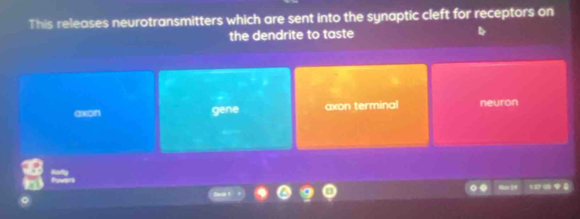 This releases neurotransmitters which are sent into the synaptic cleft for receptors on
the dendrite to taste
gene axon terminal neuron
 8/10 =
0.6 1 0