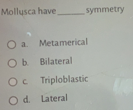 Mollusca have _symmetry
a. Metamerical
b. Bilateral
c. Triploblastic
d. Lateral