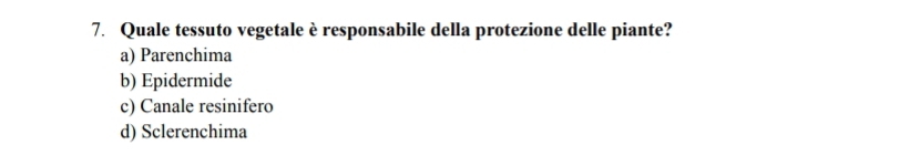 Quale tessuto vegetale è responsabile della protezione delle piante?
a) Parenchima
b) Epidermide
c) Canale resinifero
d) Sclerenchima