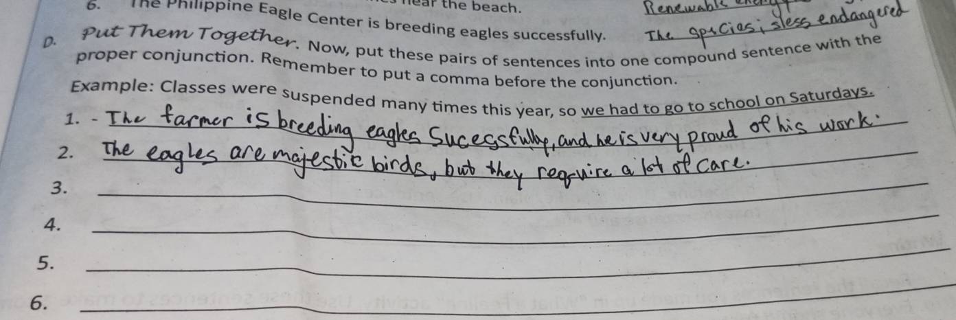 ear the beach. 
6. The Philippine Eagle Center is breeding eagles successfully. 
D. Put Th 
_ 
r. Now, put these pairs of sentences into one compound sentence with the 
proper conjunction. Remember to put a comma before the conjunction. 
Example: Classes were suspended many times this year, so we had to go to school on Saturdays. 
1. - 
2. 
_ 
_ 
_ 
_ 
3. 
_ 
4. 
_ 
5. 
_ 
6. 
_