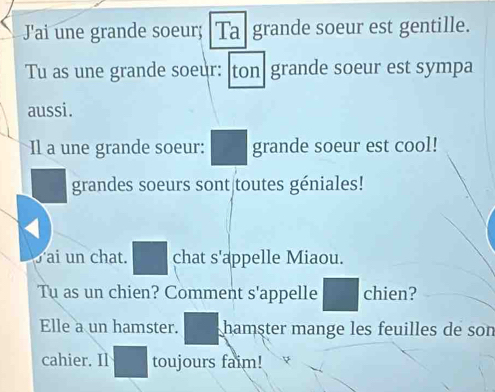 J'ai une grande soeur; Ta grande soeur est gentille. 
Tu as une grande soeur: ton grande soeur est sympa 
aussi. 
Il a une grande soeur: grande soeur est cool! 
grandes soeurs sont toutes géniales! 
ai un chat. chat s'appelle Miaou. 
Tu as un chien? Comment s'appelle chien? 
Elle a un hamster. hamster mange les feuilles de son 
cahier. Il toujours faim!