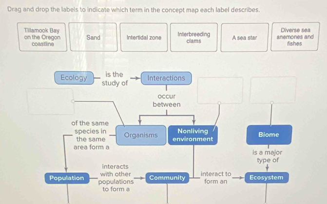 Drag and drop the labels to indicate which term in the concept map each label describes. 
Tillamook Bay Interbreeding A sea star anemones and Diverse sea 
on the Oregon Sand Intertidal zone clams 
coastline fishes