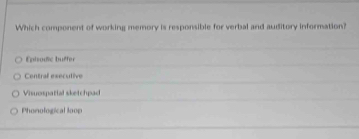 Which component of working memory is responsible for verbal and auditory information
Episodic buffer
Central esecutive
Visuospatial sketchpad
Phonological loop