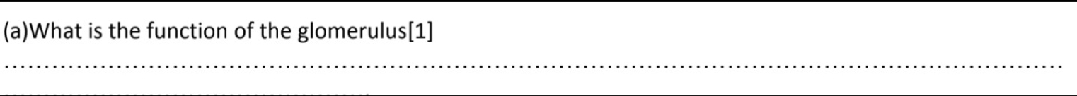 What is the function of the glomerulus[1]