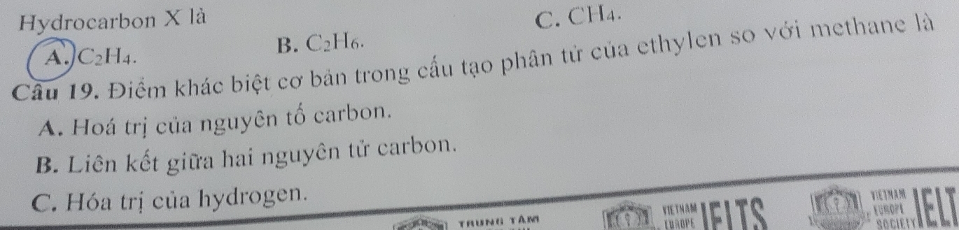 Hydrocarbon X là
A. C_2 H4. B. C2H6. C. CH₄.

Câu 19. Điểm khác biệt cơ bản trong cấu tạo phân tử của ethylen so với methane là
A. Hoá trị của nguyên tố carbon.
B. Liên kết giữa hai nguyên tử carbon.
C. Hóa trị của hydrogen.
VIETMAM