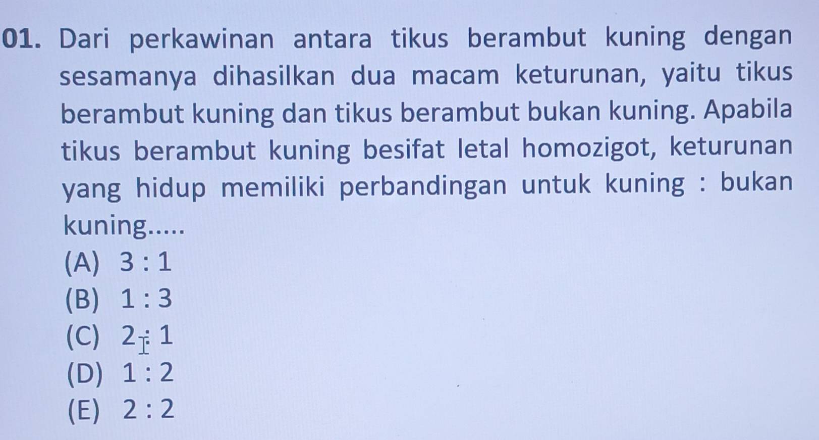 Dari perkawinan antara tikus berambut kuning dengan
sesamanya dihasilkan dua macam keturunan, yaitu tikus
berambut kuning dan tikus berambut bukan kuning. Apabila
tikus berambut kuning besifat letal homozigot, keturunan
yang hidup memiliki perbandingan untuk kuning : bukan
kuning.....
(A) 3:1
(B) 1:3
(C) 2_ :1
(D) 1:2
(E) 2:2