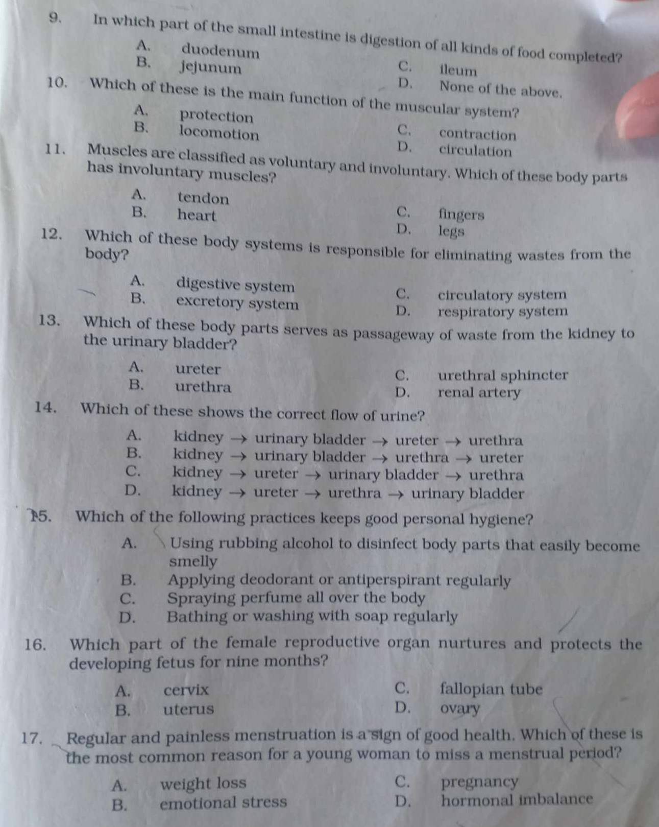 In which part of the small intestine is digestion of all kinds of food completed?
A. duodenum C. ileum
B. jejunum D. None of the above.
10. Which of these is the main function of the muscular system?
A. protection C. contraction
B. locomotion D. circulation
11. Muscles are classified as voluntary and involuntary. Which of these body parts
has involuntary muscles?
A. tendon C. fingers
B. heart D. legs
12. Which of these body systems is responsible for eliminating wastes from the
body?
A. digestive system
C. circulatory system
B. excretory system
D. respiratory system
13. Which of these body parts serves as passageway of waste from the kidney to
the urinary bladder?
A. ureter
C. urethral sphincter
B. urethra D. renal artery
14. Which of these shows the correct flow of urine?
A. kidney → urinary bladder → ureter → urethra
B. kidney → urinary bladder → urethra → ureter
C. kidney → ureter → urinary bladder → urethra
D. kidney → ureter → urethra → urinary bladder
5. Which of the following practices keeps good personal hygiene?
A. a Using rubbing alcohol to disinfect body parts that easily become
smelly
B. Applying deodorant or antiperspirant regularly
C. Spraying perfume all over the body
D. Bathing or washing with soap regularly
16. Which part of the female reproductive organ nurtures and protects the
developing fetus for nine months?
A. cervix C. fallopian tube
B. uterus D. ovary
17. Regular and painless menstruation is a sign of good health. Which of these is
the most common reason for a young woman to miss a menstrual period?
A. weight loss C. pregnancy
B. emotional stress D. hormonal imbalance