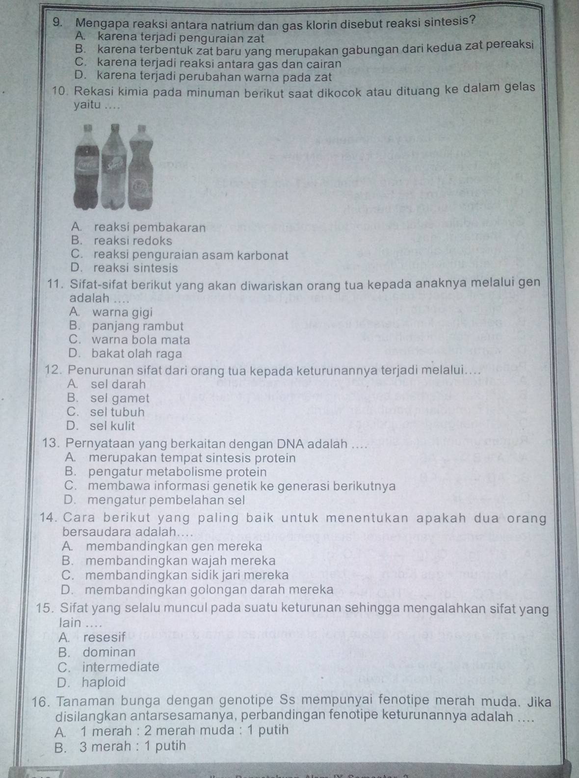 Mengapa reaksi antara natrium dan gas klorin disebut reaksi sintesis?
A. karena terjadi penguraian zat
B. karena terbentuk zat baru yang merupakan gabungan dari kedua zat pereaksi
C. karena terjadi reaksi antara gas dan cairan
D. karena terjadi perubahan warna pada zat
10. Rekasi kimia pada minuman berikut saat dikocok atau dituang ke dalam gelas
yaitu ....
A. reaksi pembakaran
B. reaksi redoks
C. reaksi penguraian asam karbonat
D. reaksi sintesis
11. Sifat-sifat berikut yang akan diwariskan orang tua kepada anaknya melalui gen
adalah ....
A. warna gigi
B. panjang rambut
C. warna bola mata
D. bakat olah raga
12. Penurunan sifat dari orang tua kepada keturunannya terjadi melalui....
A. sel darah
B. sel gamet
C. sel tubuh
D. sel kulit
13. Pernyataan yang berkaitan dengan DNA adalah ....
A. merupakan tempat sintesis protein
B. pengatur metabolisme protein
C. membawa informasi genetik ke generasi berikutnya
D. mengatur pembelahan sel
14. Cara berikut yang paling baik untuk menentukan apakah dua orang
bersaudara adalah....
A. membandingkan gen mereka
B. membandingkan wajah mereka
C. membandingkan sidik jari mereka
D. membandingkan golongan darah mereka
15. Sifat yang selalu muncul pada suatu keturunan sehingga mengalahkan sifat yang
lain ....
A. resesif
B. dominan
C. intermediate
D. haploid
16. Tanaman bunga dengan genotipe Ss mempunyai fenotipe merah muda. Jika
disilangkan antarsesamanya, perbandingan fenotipe keturunannya adalah ....
A. 1 merah : 2 merah muda : 1 putih
B. 3 merah : 1 putih