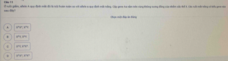 Ở ruồi giấm, allele A quy định mắt đỏ là trội hoàn toàn so với allele a quy định mắt trầng. Cặp gene Aa năm trên vùng không tương đồng của nhiêm sắc thể X. Các ruồi mắt trắng có kiểu gene nào
sau đây?
Chọn một đáp ản đùng
A X^(wedge)X^(wedge), X^(wedge)Y
B X^(△)Y, X^nY.
C X^aY, X^aX°.
D x^(wedge)x^n, x°x^n.