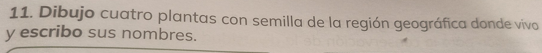 Dibujo cuatro plantas con semilla de la región geográfica donde vivo 
y escribo sus nombres.