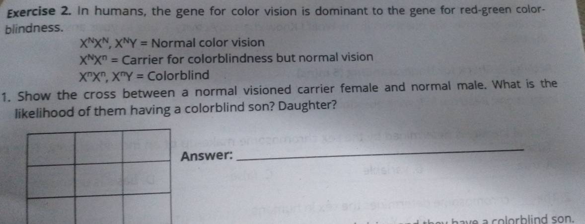 In humans, the gene for color vision is dominant to the gene for red-green color-
blindness.
X^NX^N, X^NY= Normal color vision
X^NX^n= Carrier for colorblindness but normal vision
X^nX^n, X^nY= Colorblind
1. Show the cross between a normal visioned carrier female and normal male. What is the
likelihood of them having a colorblind son? Daughter?
Answer:
_
we a colorblind son.