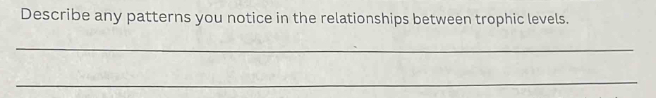 Describe any patterns you notice in the relationships between trophic levels. 
_ 
_