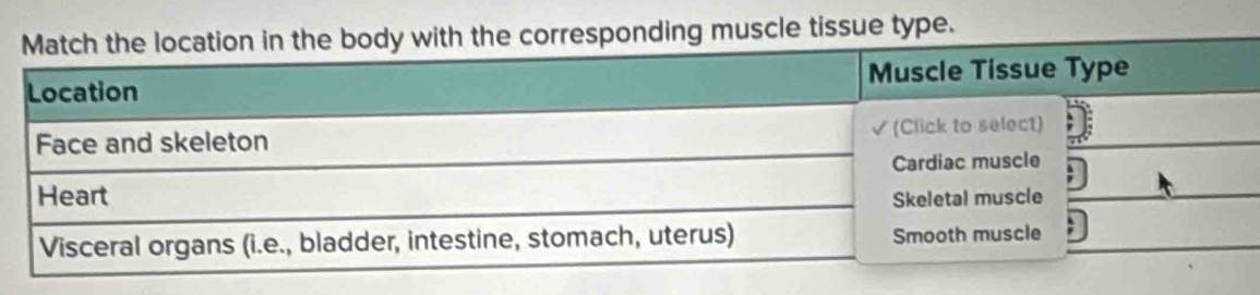 the corresponding muscle tissue type.