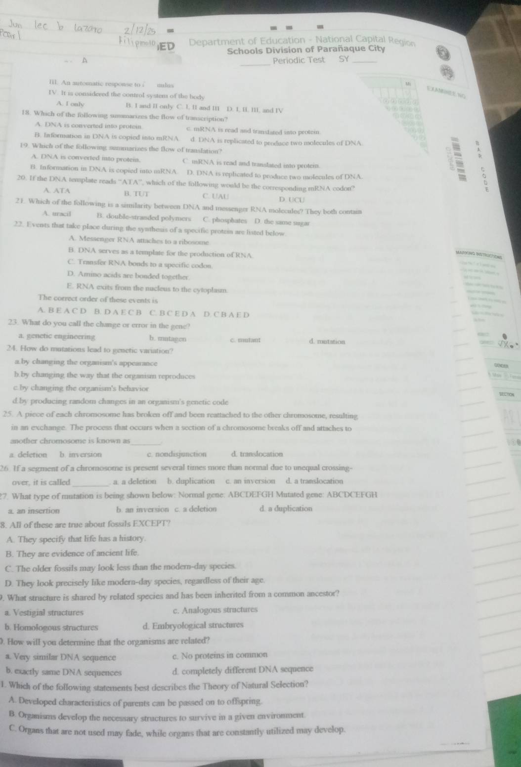 Department of Education - National Capital Region
Schools Division of Parañaque City
_
A Periodic Test SY_
IIl. An automatic response to ? milus
E A AMINE No
IV. It is considered the control systent of the body
A. I only B. I and II only C. I, II and III D. I, II. III, and IV
18. Which of the following summarizes the flow of transcription?
A. DNA is converted into protein c. mRNA is read and translated into protein.
B. In formation in DNA is copied into mRNA. d. DNA is replicated to produce two molecules of DNA.
19. Which of the following sunamarizes the flow of translation?
A. DNA is converted into protein. C. mRNA is read and translated into protein.
B. Information in DNA is copied into mRNA. D. DNA is replicated to produce two molecules of DNA.
20. If the DNA template reads “ATA”, which of the following would be the corresponding mRNA codon?
A. ATA B. TUT C. UAU D. UCU
21. Which of the following is a similarity between DNA and messenger RNA molecules? They both contain
A. uracil B. double-stranded polymers C. phosphates D. the same sugar
22. Events that take place during the synthesis of a specific protein are listed below
A. Messenger RNA attaches to a ribosome
B. DNA serves as a template for the production of RNA
C. Transfer RNA bonds to a specific codon.
D. Amino acids are bonded together.
E. RNA exits from the nucleus to the cytoplasm.
The correct order of these events is
A. B E A C D B. D A E C B C. B C E D A D. C B A E D
23. What do you call the change or error in the gene?
a. genetic engineering b. matagen c. mutant d. mutation
24. How do mutations lead to genetic variation?
a.by changing the organism's appearance
b.by changing the way that the organism reproduces
c.by changing the organism's behavior SECTION
d by producing random changes in an organism's genetic code
25. A piece of each chromosome has broken off and been reattached to the other chromosome, resulting
in an exchange. The process that occurs when a section of a chromosome breaks off and attaches to
another chromosome is known as
a. deletion b. inversion c. nondisjunction d. translocation
26. If a segment of a chromosome is present several times more than normal due to unequal crossing-
over, it is called_ . a. a deletion b. duplication c. an inversion d. a translocation
27. What type of mutation is being shown below: Normal gene: ABCDEFGH Mutated gene: ABCDCEFGH
a. an insertion b. an inversion c. a deletion d. a duplication
8. All of these are true about fossils EXCEPT?
A. They specify that life has a history.
B. They are evidence of ancient life.
C. The older fossils may look less than the modern-day species.
D. They look precisely like modern-day species, regardless of their age.
. What structure is shared by related species and has been inherited from a common ancestor?
a. Vestigial structures c. Analogous structures
b. Homologous structures d. Embryological structures
. How will you determine that the organisms are related?
a. Very similar DNA sequence c. No proteins in common
b. exactly same DNA sequences d. completely different DNA sequence
1. Which of the following statements best describes the Theory of Natural Selection?
A. Developed characteristics of parents can be passed on to offspring.
B. Organisms develop the necessary structures to survive in a given environment
C. Organs that are not used may fade, while organs that are constantly utilized may develop.
