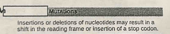 Mutations 
Insertions or deletions of nucleotides may result in a 
shift in the reading frame or insertion of a stop codon.