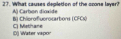 What causes depletion of the ozone layer?
A) Carbon dioxide
B) Chiorofluorocarbons (CFCs)
C) Methane
D) Water vapor