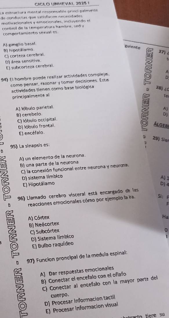 CICLO UNHEVAL 2025 I
La estructura mental responsable princi palmente
de conductas que satísfacen necesidades
motívacionales y emocionales, incluyendo el
control de la temperatura hambre, sed y
comportamier to sexual es.
A) ganglio basal.
B) hipotálamo.
guiente 27)
C) corteza cerebral.
D) área sensitiva.

E) subcorteza cerebral.
A
94) El hombre puede realizar actividades complejã,
D
como pensar, razonar y tomar decisiones. Esta
actividades tienen como base biológica 28) ∠C
principalmente al D
te
A) lóbulo parietal.
A)
B) cerebelo. D)
C) lóbulo occipital.
D) lóbulo frontal.
Algebi
E) encéfalo.
D 29) Sier
95) La sinapsis es:
:
a
A) un elemento de la neurona.
B) una parte de la neurona
C) la conexión funcional entre neurona y neuroa.
D) sistema límbico
A) 1
E) Hipotálamo D) 4
96) Llamado cerebro visceral está encargado de las
。 reacciones emocionales cómo por ejemplo la ira. SI： F
F
A) Córtex Ha
z B) Neócortex
C) Subcórtex
D) Sistema límbico
E) Bulbo raquídeo
。 97) Función proncipal de la medula espinal:
A) Dar respuestas emocionales
B) Conectar el encefalo con el oflafo
C) Conectar al encefalo con la mayor parte del
cuerpo.
D) Procesar informacion tactil
E) Procesar informacion visual
rac to tiene su