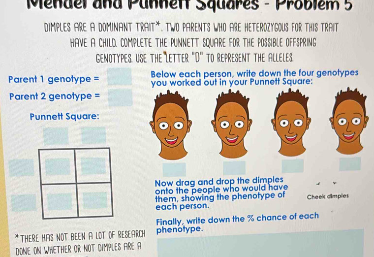 Solved: Mendel and Pannett Squares - Problém 5 DIMPLES ARE A DOMINANT ...