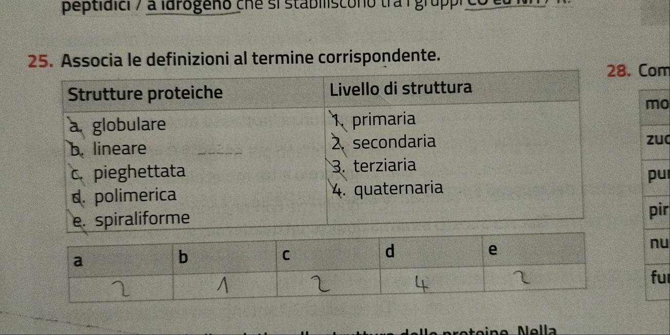 peptidici / a idrogeno che si stabiliscono tra i grupp 
25. Associa le definizioni al termine corrispondente. 
. Com 
o 
uc 
u 
ir 
u 
ur