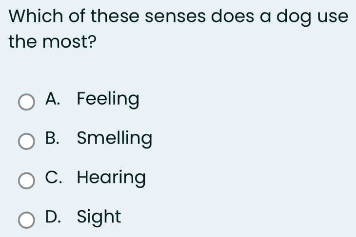 Which of these senses does a dog use
the most?
A. Feeling
B. Smelling
C. Hearing
D. Sight