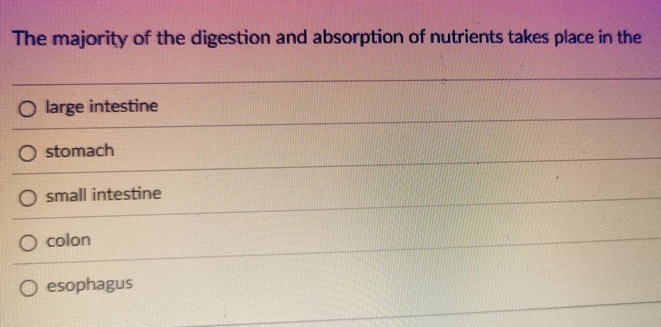 The majority of the digestion and absorption of nutrients takes place in the
large intestine
stomach
small intestine
colon
esophagus