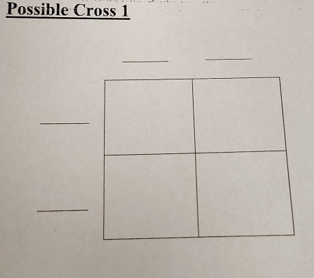 Possible Cross 1 
_ 
_ 
_ 
_ 
_