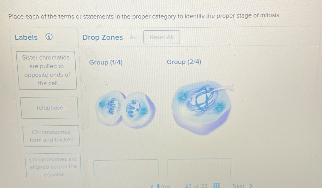 Solved: Place each of the terms or statements in the proper category to ...