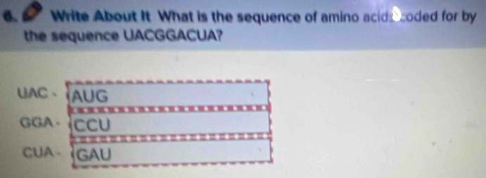 Write About It What is the sequence of amino acids coded for by
the sequence UACGGACUA?
UAC 、 AUG

GGA、 CCU
CUA GAU