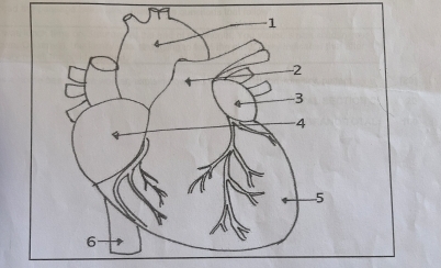 -1
-2
-3
-4
5
6