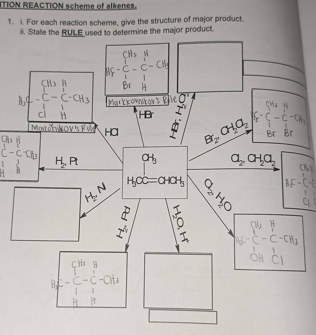 ITION REACTION scheme of alkenes.
1. i. For each reaction scheme, give the structure of major product.
he major product.