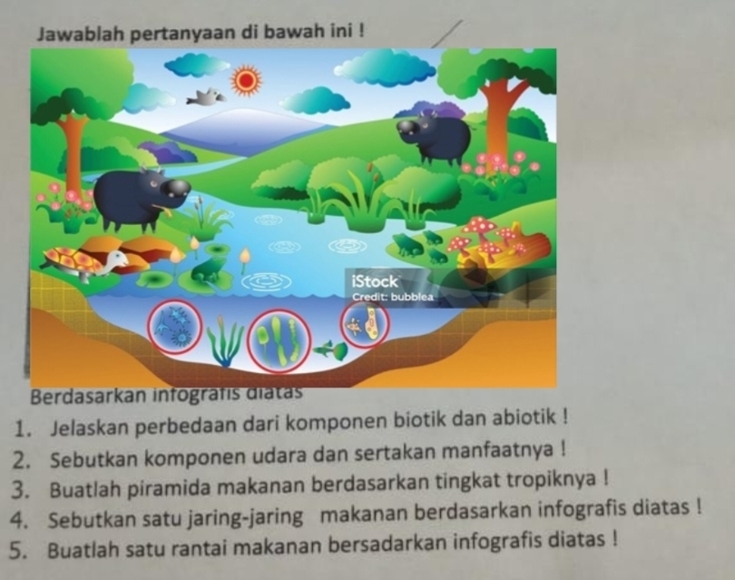 Jawablah pertanyaan di bawah ini ! 
1. Jelaskan perbedaan dari komponen biotik dan abiotik ! 
2. Sebutkan komponen udara dan sertakan manfaatnya ! 
3. Buatlah piramida makanan berdasarkan tingkat tropiknya ! 
4. Sebutkan satu jaring-jaring makanan berdasarkan infografis diatas ! 
5. Buatlah satu rantai makanan bersadarkan infografis diatas !