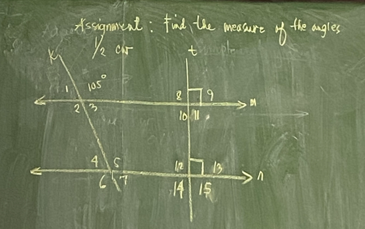 dissignaneat: find the measure o the angles