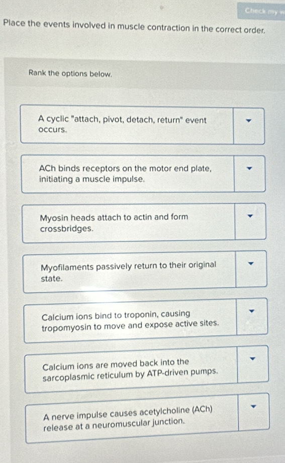 Check my w
Place the events involved in muscle contraction in the correct order.
Rank the options below.
A cyclic "attach, pivot, detach, return" event
occurs.
ACh binds receptors on the motor end plate,
initiating a muscle impulse.
Myosin heads attach to actin and form
crossbridges.
Myofilaments passively return to their original
state.
Calcium ions bind to troponin, causing
tropomyosin to move and expose active sites.
Calcium ions are moved back into the
sarcoplasmic reticulum by ATP-driven pumps.
A nerve impulse causes acetylcholine (ACh)
release at a neuromuscular junction.