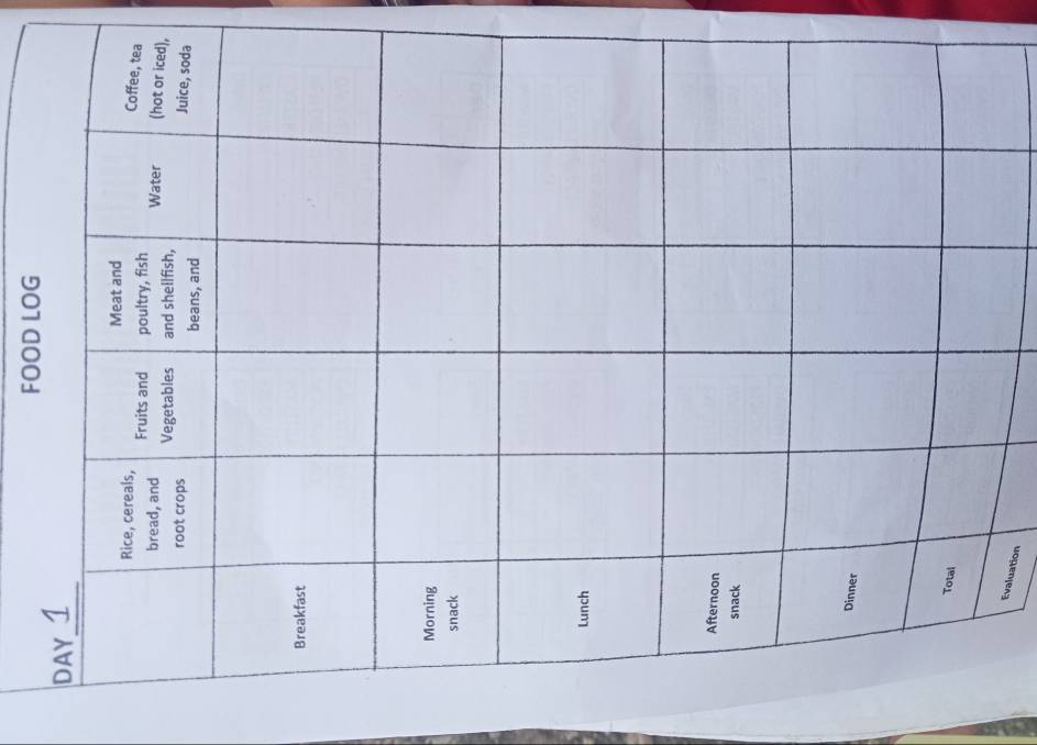 FOOD LOG 
ea 
d), 
a 
Evaluation