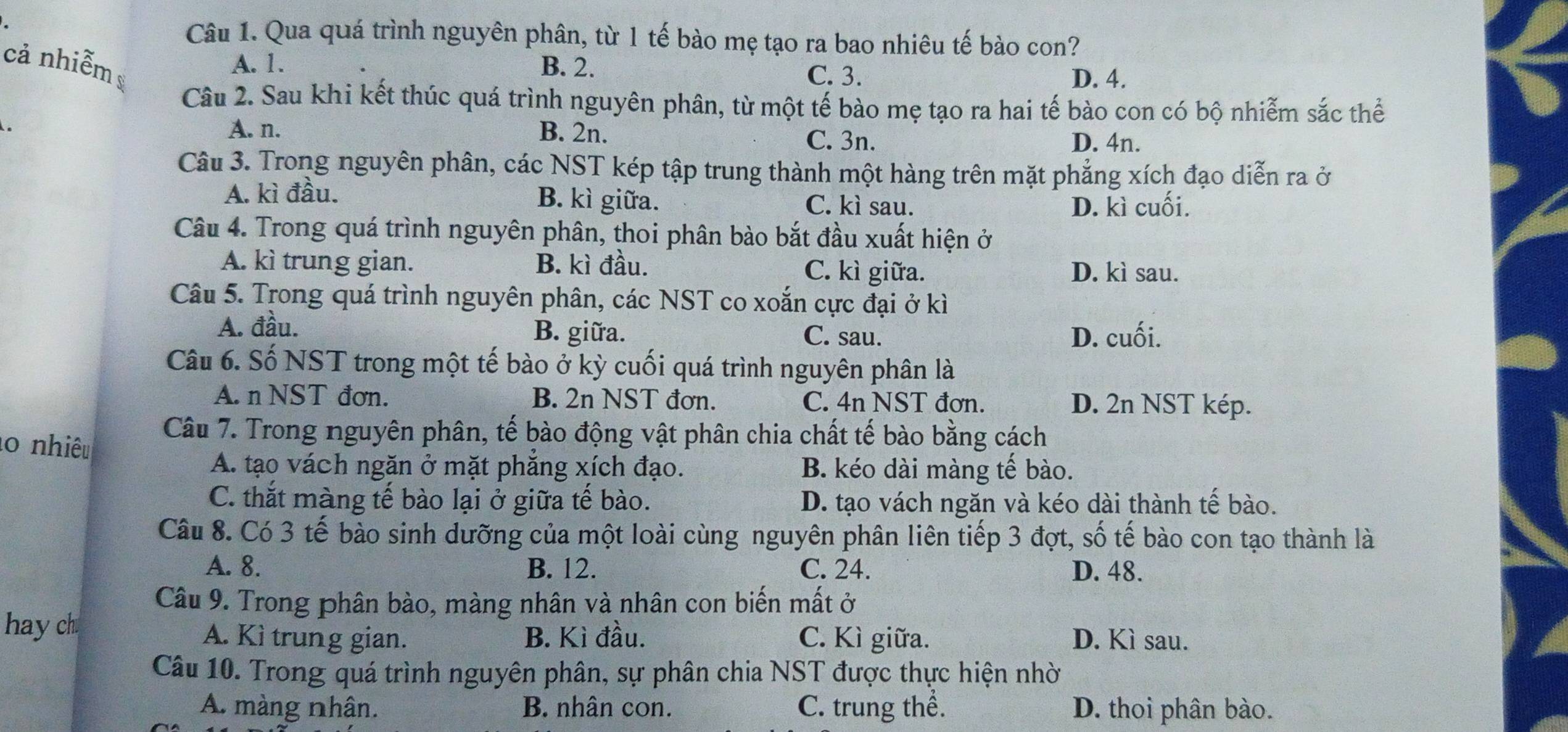 Qua quá trình nguyên phân, từ 1 tế bào mẹ tạo ra bao nhiêu tế bào con?
A. 1.
cả nhiễm B. 2. C. 3.
D. 4.
Câu 2. Sau khi kết thúc quá trình nguyên phân, từ một tế bào mẹ tạo ra hai tế bào con có bộ nhiễm sắc thể
A. n. B. 2n. C. 3n.
D. 4n.
Câu 3. Trong nguyên phân, các NST kép tập trung thành một hàng trên mặt phẳng xích đạo diễn ra ở
A. kì đầu. B. kì giữa. C. kì sau.
D. kì cuối.
Câu 4. Trong quá trình nguyên phân, thoi phân bào bắt đầu xuất hiện ở
A. kì trung gian. B. kì đầu. C. kì giữa. D. kì sau.
Câu 5. Trong quá trình nguyên phân, các NST co xoắn cực đại ở kì
A. đầu. B. giữa. C. sau. D. cuối.
Câu 6. Số NST trong một tế bào ở kỳ cuối quá trình nguyên phân là
A. n NST đơn. B. 2n NST đơn. C. 4n NST đơn. D. 2n NST kép.
lo nhiêu
Câu 7. Trong nguyên phân, tế bào động vật phân chia chất tế bào bằng cách
A. tạo vách ngăn ở mặt phăng xích đạo. B. kéo dài màng tế bào.
C. thắt màng tế bào lại ở giữa tế bào. D. tạo vách ngăn và kéo dài thành tế bào.
Câu 8. Có 3 tế bào sinh dưỡng của một loài cùng nguyên phân liên tiếp 3 đợt, số tế bào con tạo thành là
A. 8. B. 12. C. 24. D. 48.
Câu 9. Trong phân bào, màng nhân và nhân con biến mất ở
hay ch A. Kì trung gian. B. Kì đầu. C. Kì giữa. D. Kì sau.
Câu 10. Trong quá trình nguyên phân, sự phân chia NST được thực hiện nhờ
A. màng nhân. B. nhân con. C. trung thể. D. thoi phân bào.