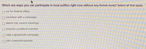 Solved: Which are ways you can participate in local politics right now ...