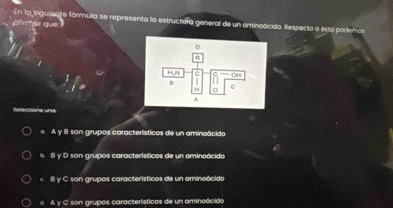 afirmar que. En la siguiente fórmula se representa la estructura general de un aminoácido. Respecto a ésta podemos
D
R
H-N C C OH
B
H C
A
Seleccione una:
a A y B son grupos característicos de un aminoácido
B y D son grupos característicos de un aminoácido
c B y C son grupos característicos de un aminoácido
d A y C son grupos característicos de un aminoácido