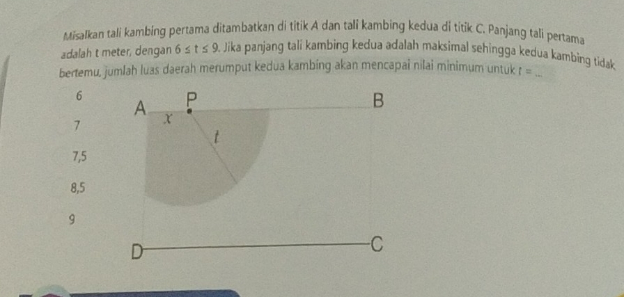 Misalkan tali kambing pertama ditambatkan di titik A dan tali kambing kedua di titik C. Panjang tali pertama
adalah t meter, dengan 6≤ t≤ 9. Jika panjang tali kambing kedua adalah maksimal sehingga kedua kambing tidak
bertemu, jumlah luas daerah merumput kedua kambing akan mencapai nilai minimum untuk t= _
6
7
7,5
8,5
9